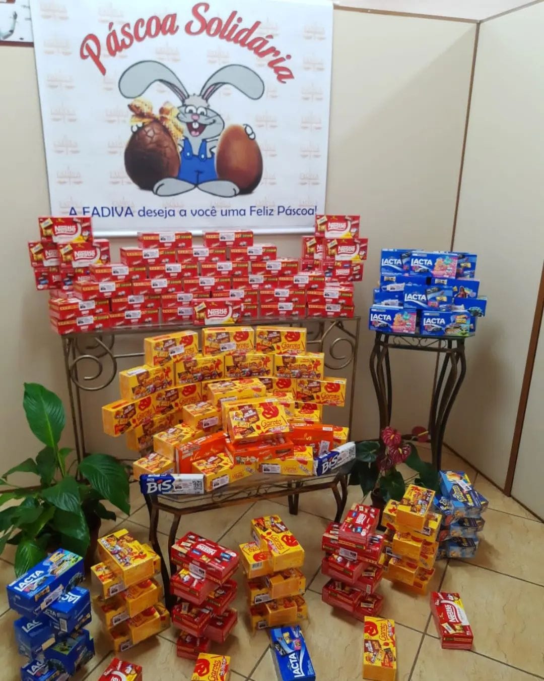 WhatsApp Image 2023 04 05 at 11.46.41