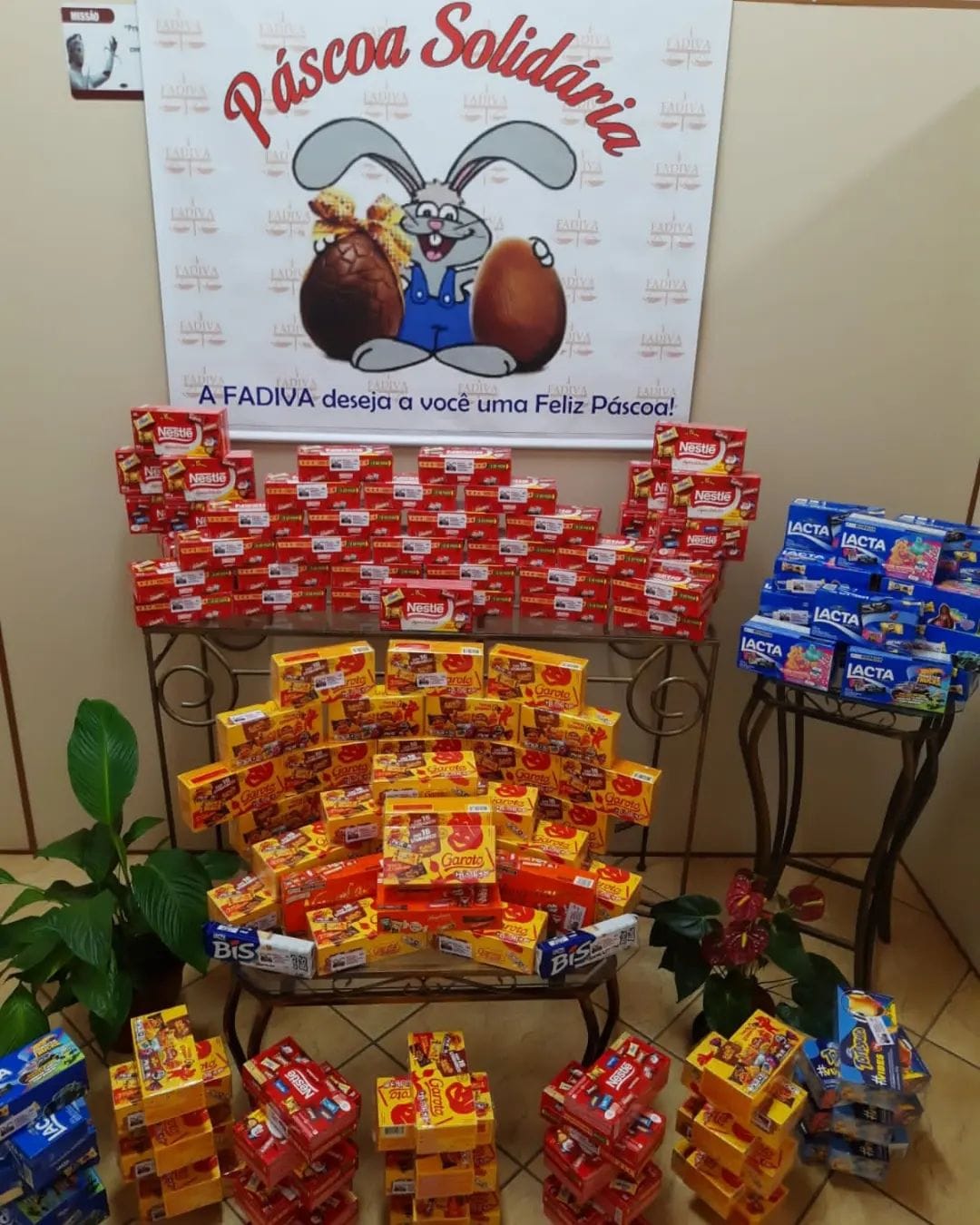 WhatsApp Image 2023 04 05 at 11.46.54