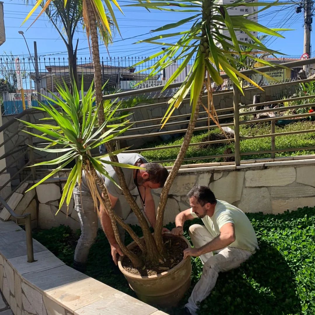 WhatsApp Image 2023 06 05 at 14.46.30