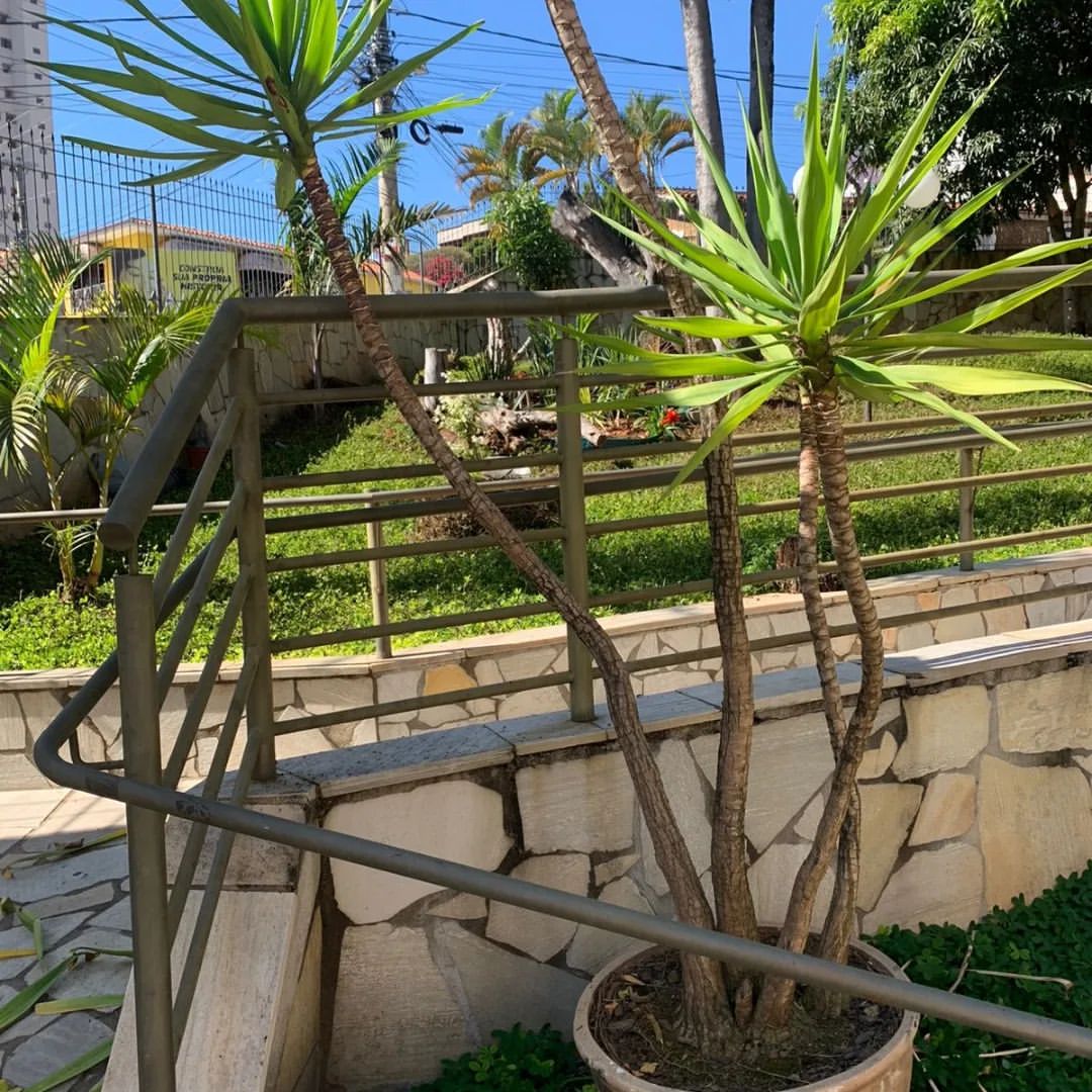 WhatsApp Image 2023 06 05 at 14.47.01