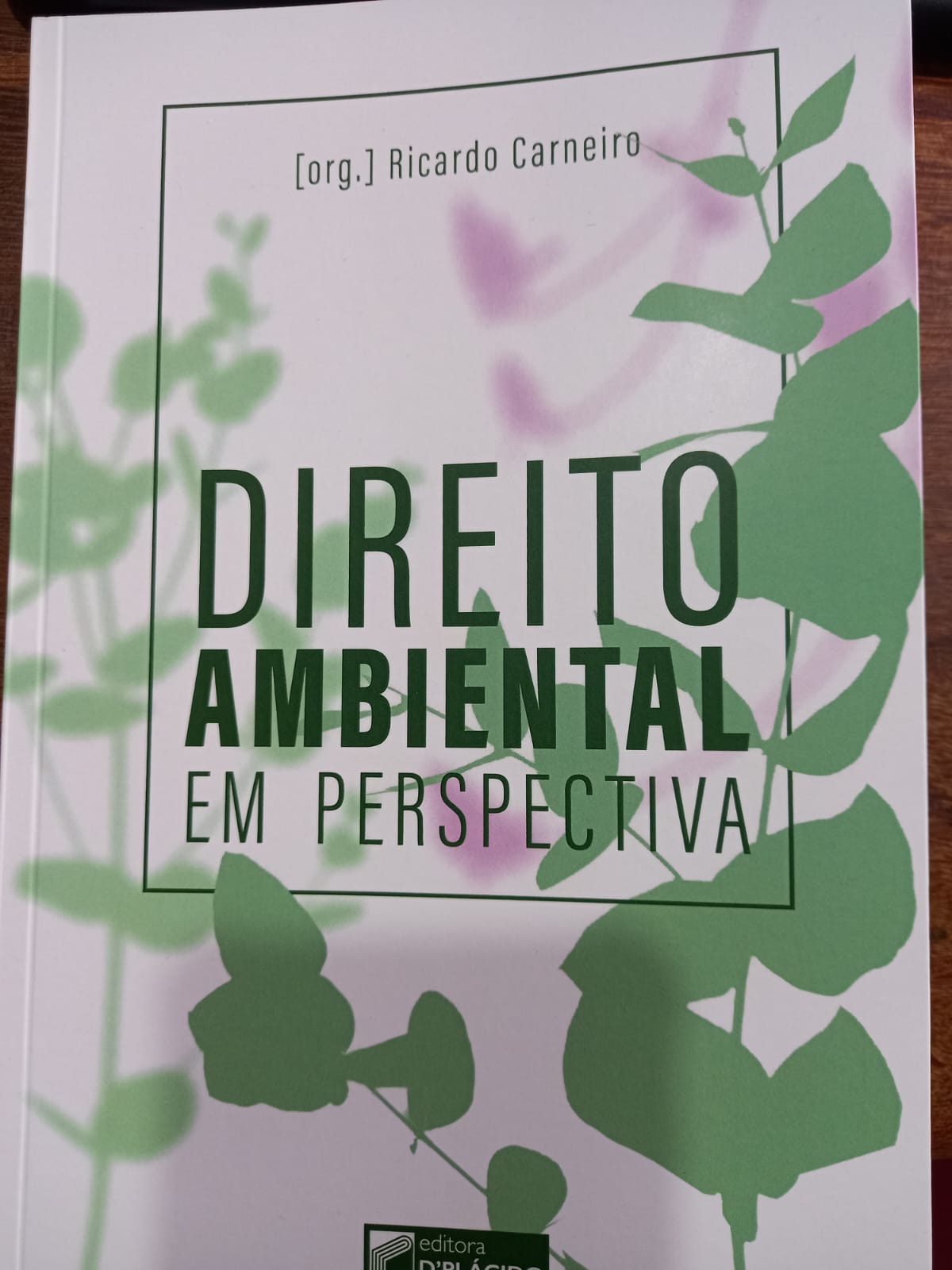 WhatsApp Image 2023 09 14 at 09.33.08